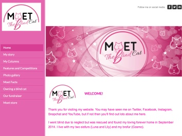 Moet's Website